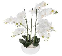 Atmosphera – Orchidée artificielle – Pot céramique blanc – H65 cm