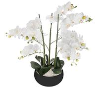 Atmosphera - Orchidée artificielle - Pot céramique noir - H 65 cm