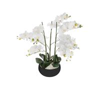 Atmosphera - Orchidée Artificielle - Pot céramique Noir H65 cm