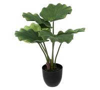Atmosphera - Palmier Artificiel - Pot en Ciment - H65 cm