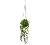 Atmosphera - Plante artificielle à suspendre Living - Pot en ciment H10-5 cm - Vert