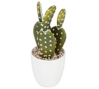 Atmosphera Plante Artificielle Cactus en Pot H 18 cm