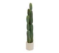 Cactus 3 Troncs en Pot Sien 132cm Vert