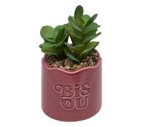 Atmosphera - Plante Artificielle en Pot Cheri 13x10cm - Rose