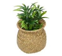 Atmosphera - Plante Artificielle en Pot Jil 10x10cm - Modèle c