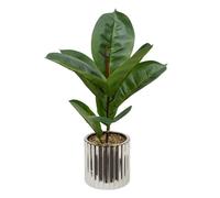 Ficus Artificiel en Pot Sky 54cm Vert & Argent