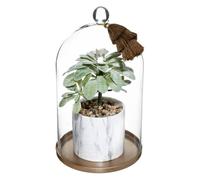 Atmosphera - Plante Artificielle sous Cloche en Verre Pot en céramique H 25 cm