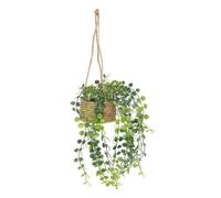 Plante artificielle suspendue ""Patri"" H47cm - Atmosphera Créateur d'intérieur