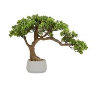 Atmosphera - Bonsaï Artificiel en Pot polin Pot en céramique Vert h45cm