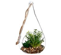 Atmosphera - Plante + Goutte en Verre H19.5