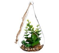 Atmosphera - Plante + Goutte en Verre H19.5