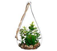 Atmosphera - Plante + Goutte en Verre H19.5