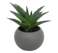 Atmosphera - Plante grasse en pot H13
