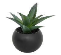 Atmosphera - Plante grasse en pot H13