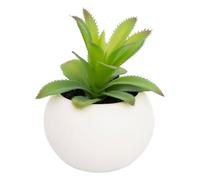 Atmosphera - Plante grasse en Pot H13 - Modèle f/Blanc
