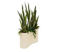 Plante artificielle en pot Sky 80x30cm - Atmosphera Créateur d'intérieur