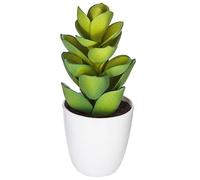 Atmosphera - Plante succulente et Cactus H18 - Modèle 5