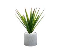 Atmosphera Pot plante succulente
