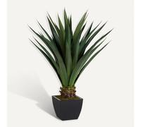 Atmosphera Pot pour succulente