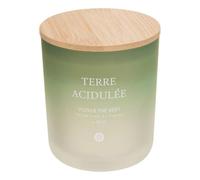 Atmosphera - Bougie parfumée 255 g sana yuzu et thé vert