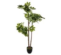 Atmosphera - Schefflera Artificiel H130 cm
