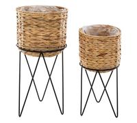 Set aus 2 töpfen "hya" wasserhyazinthe - Atmosphera créateur d'intérieur