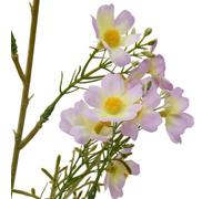 Atmosphera - Tige Cosmos Artificielle Phoebe H63 cm Jaune - Modéle d