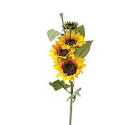 Atmosphera - Tige Tournesol H80
