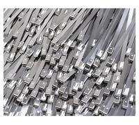 Attaches de câbles en métal autobloquantes, 30/120 pièces, organisateur d'attaches réutilisables et robustes, fermeture éclair multifonction acier inoxydable(4.6mm 100pcs,700mm)