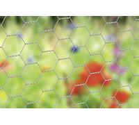 Attaches pour plantes grimpantes (tomates, roses, concombres et autres), 13 x 13 mm