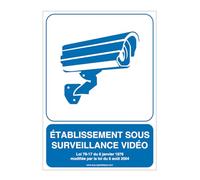 AUA SIGNALETIQUE - Autocollant Etablissement sous Surveillance Vidéo02 - v - 300x420 mm, Vinyl adhésif