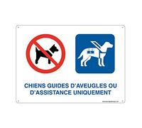 AUA SIGNALETIQUE - Panneau Prépercé (4 Trous) avec Angles arrondis - PVC Rigide 1.5 mm - (210 x 150 mm, Chiens Guides Aveugles ou D'assistance)