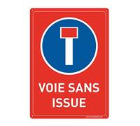 AUA SIGNALETIQUE - Panneau Prépercé (4 Trous) avec Angles arrondis - PVC Rigide 1.5 mm - (210x300 mm, Voie sans Issue)
