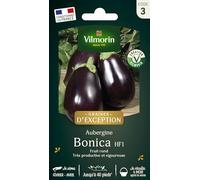 Aubergine Bonica HF1 - Graines d'Exception