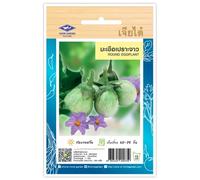 Aubergine Thaï, Round Eggplant, Graines de légumes - Sachet de 200 Graines, Aubergines Thaïlandais CHIA TAI