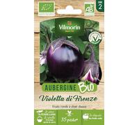 Aubergine Violette de Florence (Violetta di Firenze) - BIO