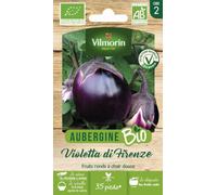 Aubergine Violette de Florence (Violetta di Firenze) - BIO - Vilmorin - Potagères