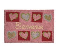 AUBRY GASPARD - Paillasson Coco Intérieur Extérieur avec Inscriptions Cœurs Bienvenue - Envers Latexé Antidérapant - Design Charmant pour Une Entrée Accueillante - 40 x 60 cm