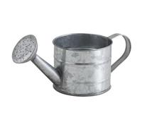 AUBRY GASPARD - Petit Arrosoir Déco 75 n Zinc - Longueur 25 x Ø 11 x Hauteur 9-11 cm - Décoratif Non Fonctionnel - Style Vintage Rustique pour Jardin ou Intérieur - Léger avec Poids 0,26 kg