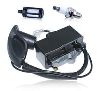 AUMEL Bobine d'allumage pour Stihl BR600 BR550 BR500 BR700 Souffleur de Feuilles avec Filtre a essence Bougie d'allumage 42824001310