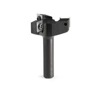Aundhegrtt Fraise à Raboter à Lame Remplaçable avec Insert pour Fraiseuse CNC pour le Surfaçage Du Bois