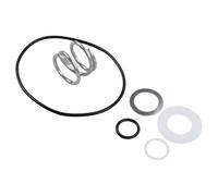 Auratrove Kit de réparation de piscine pour Hayward SPX0710 SP0710 : pièces essentielles avec ressort et joints toriques pour systèmes de filtre à sable Pro VL Series