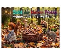 Aus Sicht der kleinen Pfoten - Humorvolle Tierwelten (Wandkalender 2027 DIN A3 quer), CALVENDO Monatskalender: Humorvolle Miniaturwelten mit kleinen Pfoten