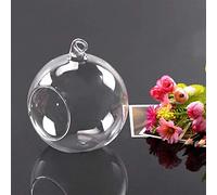 Ausuky Vase en verre à suspendre en forme de boule pour plantes, récipient pour terrarium, décoration de la maison (M)
