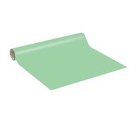 Autocollant Adhésif Imperméable Vinyle Rouleau pour Cuisine Meuble Armoire Porte - Sticker Mural H60 x L200 cm - vert menthe