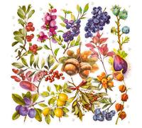 Autocollant de scrapbooking de fruits Autocollant de plante naturelle Autocollant de fruit avec branche et feuille Baie Raisin Orange Citron Autocollant décoratif pour agenda de journal (Fruit)