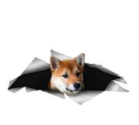 Autocollant de voiture 22 cm Shiba Inu Autocollant 3D Déchiré Réfléchissant Amusant Shiba Inu Autocollant de voiture Animal de compagnie Chien Autocollant étanche Pare-chocs Lunette arrière Décor