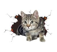 Autocollant De Voiture Chat 3D,Autocollants De Voiture Chat | Autocollant mignon de voiture de décalque d’animal 3D, mural d'animaux de protection solaire imperméable pour fenêtre de porte