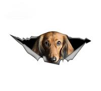 Autocollant De Voiture Teckel À Poils Longs Rouge, Étiquette en Métal Déchiré, Autocollants Réfléchissants pour Chien De Compagnie, Style 3D