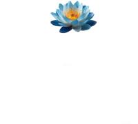 Autocollant imperméable en PVC pour porte de salle de bain Motif lotus bleu 15 x 20 cm